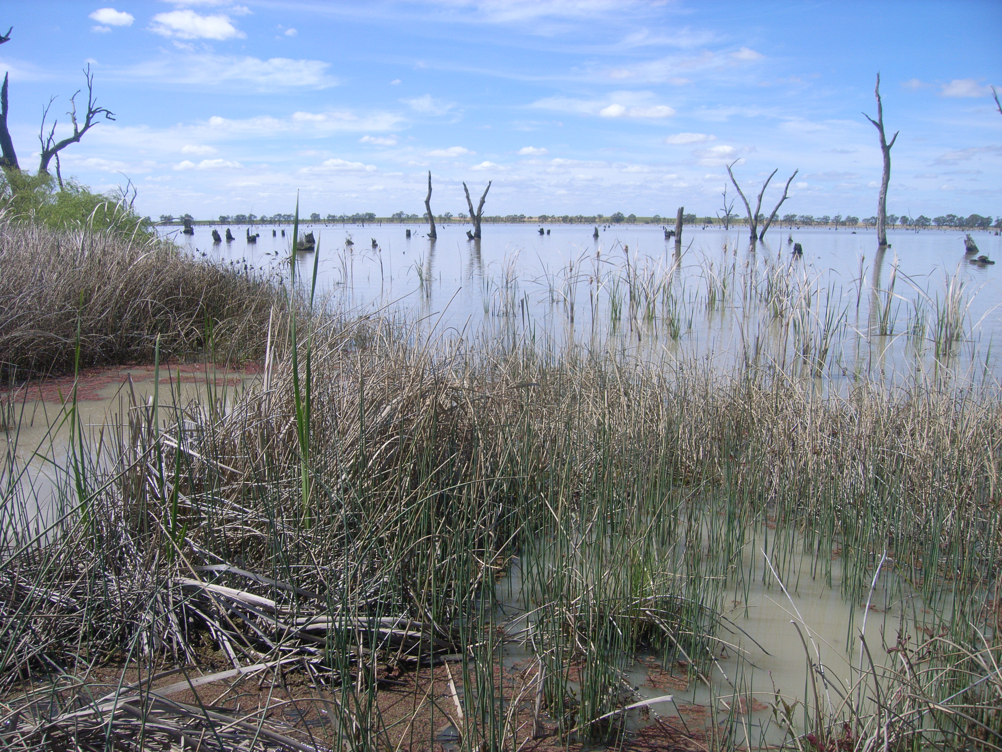 Kerang Wetlands Ramsar Site